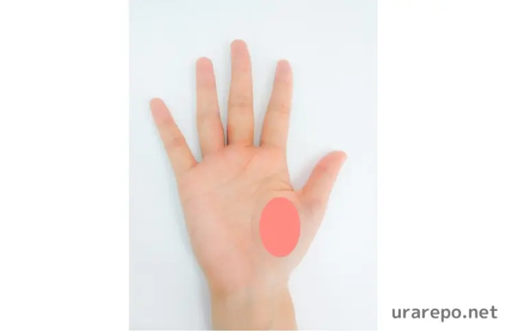 金星丘の膨らみ