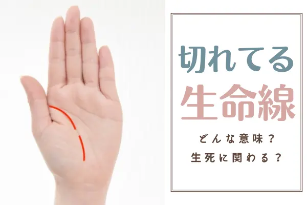 生命線が切れてる 途切れ