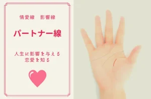 手相のパートナー線