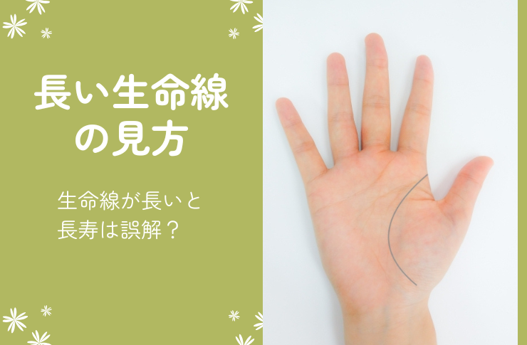 長い生命線の見方