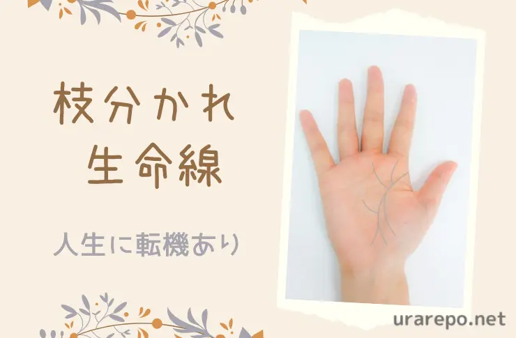 枝分かれ生命線