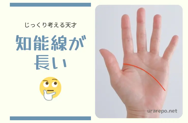 知能線が長い手相の見方